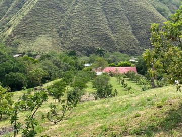finca en venta en vijes. Cod V13038