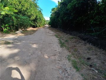 Casa en venta - Banda de Shilcayo - Las Palmas