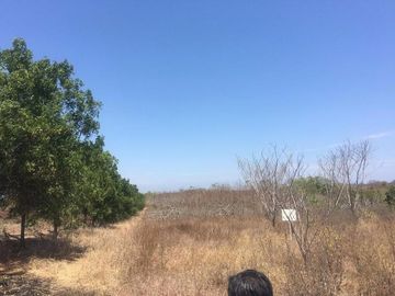 Macrolote en Venta Sector Daular cerca del nuevo Aeropuerto 120 Ha en