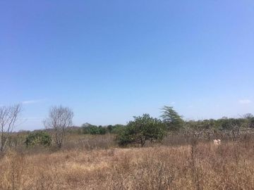 Macrolote en Venta Sector Daular cerca del nuevo Aeropuerto 120 Ha en