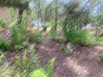 TERRENO EN VENTA EN MONTE ALTO VALLE DE BRAVO