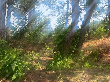 TERRENO EN VENTA EN MONTE ALTO VALLE DE BRAVO
