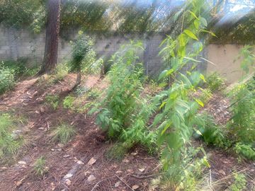 TERRENO EN VENTA EN MONTE ALTO VALLE DE BRAVO