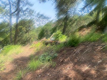 TERRENO EN VENTA EN MONTE ALTO VALLE DE BRAVO