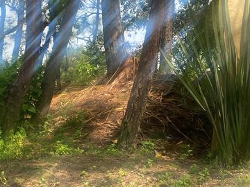 TERRENO EN VENTA EN MONTE ALTO VALLE DE BRAVO