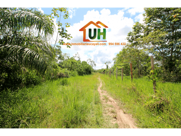 00316 VENTA TERRENO RURAL PUCALLPA  5 Ha 8,047.36m2