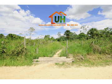 00316 VENTA TERRENO RURAL PUCALLPA  5 Ha 8,047.36m2