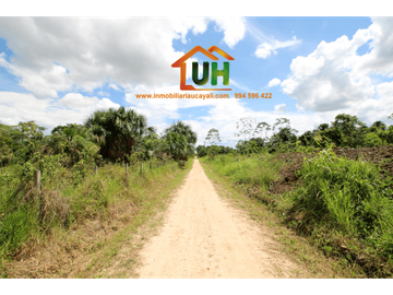 00316 VENTA TERRENO RURAL PUCALLPA  5 Ha 8,047.36m2