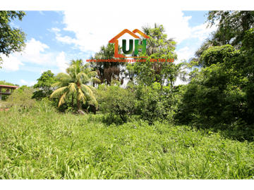 00316 VENTA TERRENO RURAL PUCALLPA  5 Ha 8,047.36m2