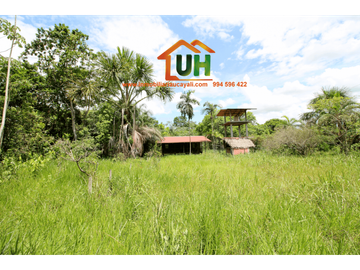 00316 VENTA TERRENO RURAL PUCALLPA  5 Ha 8,047.36m2