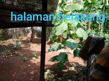 Dijual Cepat Rumah Bisa Buat Kantor Lokasi di Pondok Pinang Jakarta
