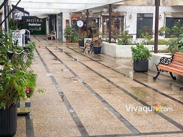Local Comercial en arriendo en Providencia