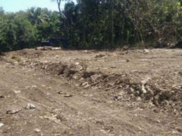 Strategis, Kavling Dekat Exit Tol Adiwerna: 1 Jt-an SHM