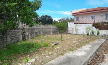 Subdivision Lot 174 Sqm for Sale in Basak, Lapu-Lapu Cebu near Gaisano Grand Mall