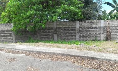 Subdivision Lot 174 Sqm for Sale in Basak, Lapu-Lapu Cebu near Gaisano Grand Mall