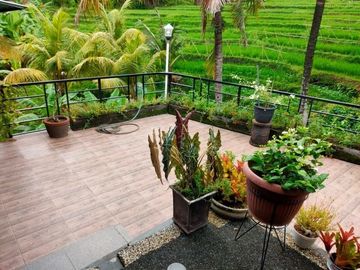 BUC DI JUAL RUMAH 2 LANTAI SIAP HUNI CANTIK VIEW SAWAH