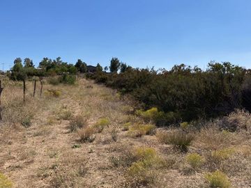 Se vende rancho en El Hongo, Tecate B.C.