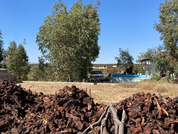 Se vende rancho en El Hongo, Tecate B.C.