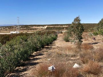 Se vende rancho en El Hongo, Tecate B.C.