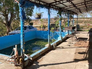 Se vende rancho en El Hongo, Tecate B.C.