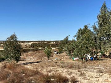 Se vende rancho en El Hongo, Tecate B.C.