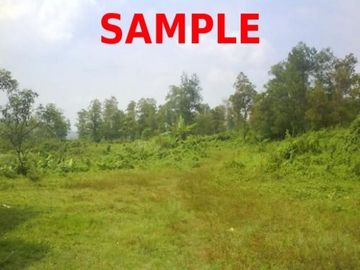Dijual cepat Tanah dekat akses toll, jalan aspal di Sukaraja