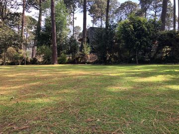 TERRENO EN AVANDARO