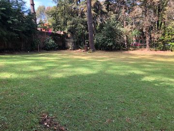 TERRENO EN AVANDARO