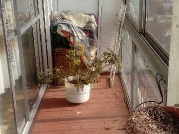 Departamento en venta en Wilde Centro