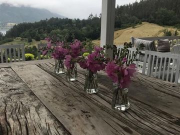Parcela en Venta en Altos del Lago Ranco