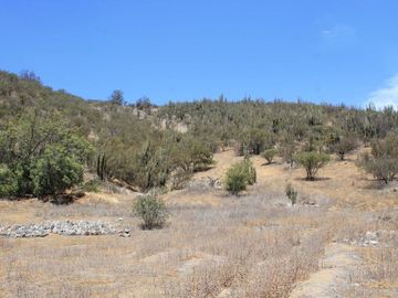 7,7 HECTAREAS URBANIZADA MALLARAUCO