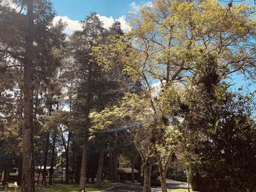 TERRENO EN VENTA EN XALAPA FRACC. EL MANANTIAL LOTE 16