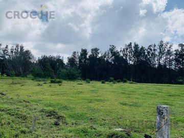 TERRENO EN VENTA EN XALAPA FRACC. EL MANANTIAL LOTE 16