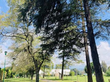 TERRENO EN VENTA EN XALAPA FRACC. EL MANANTIAL LOTE 16
