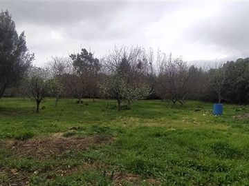 Casa en parcela de 5.141m2 requisitos en la descripcion