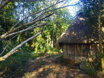 28 hectareas con cenote cerca de atracciones naturales turísticas de Yucatán