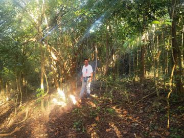 28 hectareas con cenote cerca de atracciones naturales turísticas de Yucatán