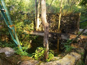 28 hectareas con cenote cerca de atracciones naturales turísticas de Yucatán