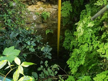 28 hectareas con cenote cerca de atracciones naturales turísticas de Yucatán