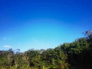 28 hectareas con cenote cerca de atracciones naturales turísticas de Yucatán