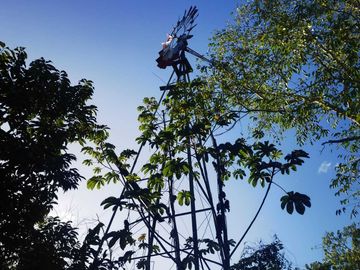 28 hectareas con cenote cerca de atracciones naturales turísticas de Yucatán