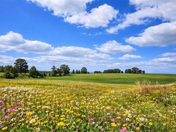 Parcelas en Prados de Frutillar liquidación oferta 5000m2