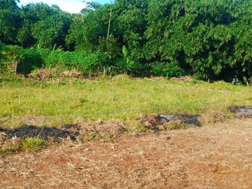 Dekat Pusdiklat Bela Negara, Tanah Murah Bogor; Angsur 12X Non Bunga