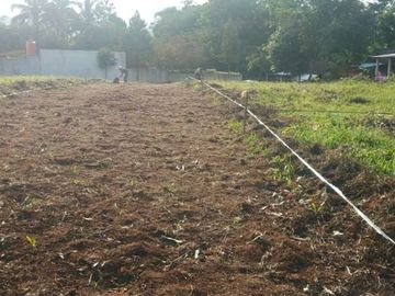 Dekat Pusdiklat Bela Negara, Tanah Murah Bogor; Angsur 12X Non Bunga