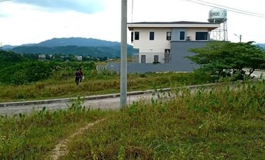 Overlooking 320 Sqm Lot for Sale in Vista Verde Consolacion Cebu