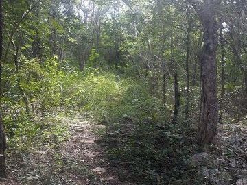 TERRENO DE 25 HAS EN VENTA