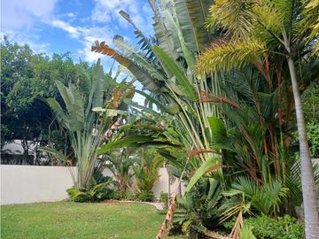 PH NATIVA - (295M2) - RM