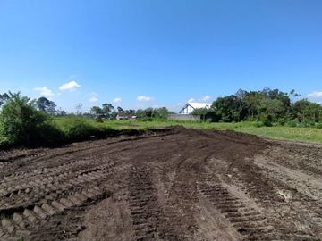 Hunian Terlaris & Murah Cuma di The Palm! Bayar Cukup 100jt-an