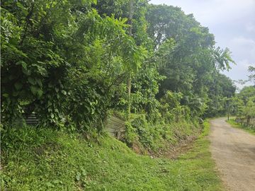 Se Vende Finca de 4 hectáreas en Colon Portobelo