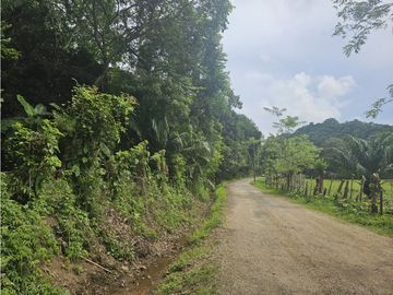 Se Vende Finca de 4 hectáreas en Colon Portobelo